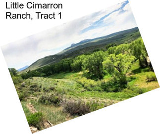 Little Cimarron Ranch, Tract 1