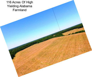 116 Acres Of High Yielding Alabama Farmland