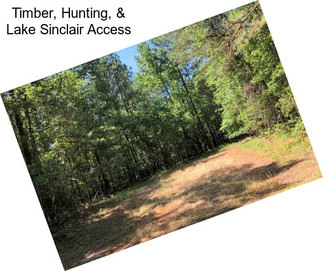 Timber, Hunting, & Lake Sinclair Access