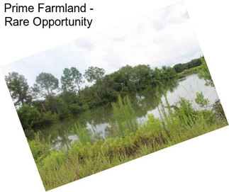 Prime Farmland - Rare Opportunity