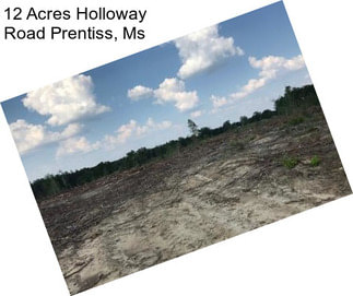 12 Acres Holloway Road Prentiss, Ms