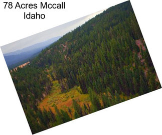 78 Acres Mccall Idaho