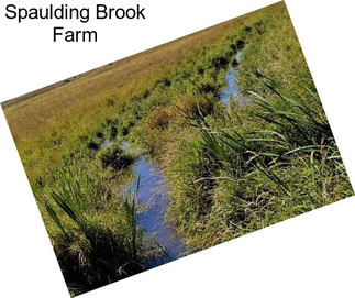 Spaulding Brook Farm