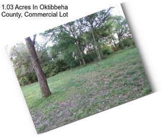1.03 Acres In Oktibbeha County, Commercial Lot