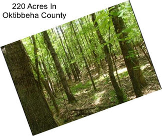 220 Acres In Oktibbeha County