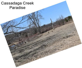 Cassadaga Creek Paradise