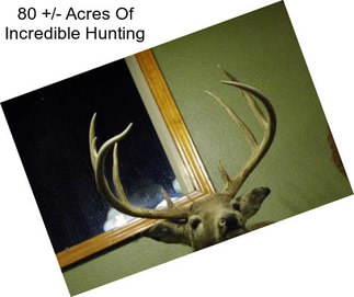 80 +/- Acres Of Incredible Hunting