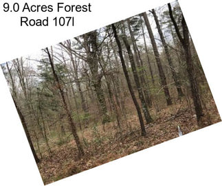 9.0 Acres Forest Road 107l