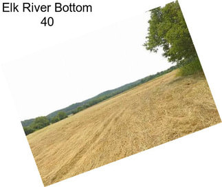 Elk River Bottom 40