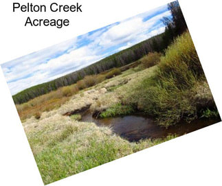 Pelton Creek Acreage