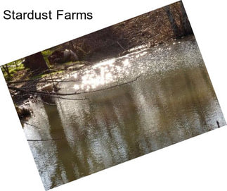 Stardust Farms