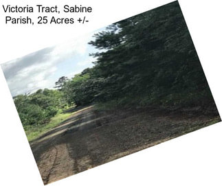Victoria Tract, Sabine Parish, 25 Acres +/-