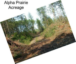 Alpha Prairie Acreage