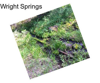 Wright Springs