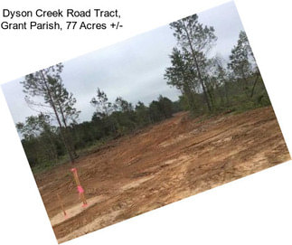 Dyson Creek Road Tract, Grant Parish, 77 Acres +/-