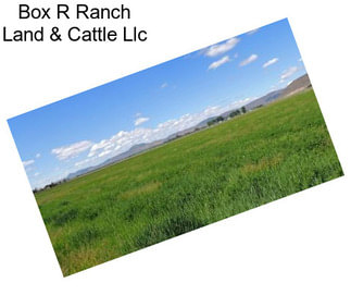 Box R Ranch Land & Cattle Llc