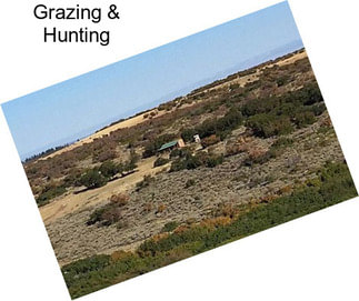 Grazing & Hunting