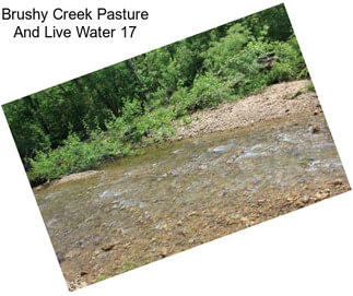 Brushy Creek Pasture And Live Water 17