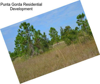 Punta Gorda Residential Development