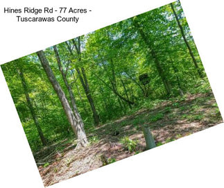 Hines Ridge Rd - 77 Acres - Tuscarawas County