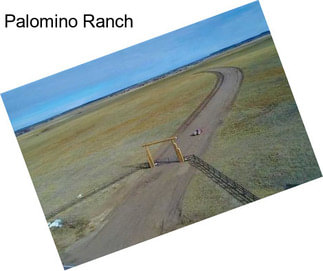 Palomino Ranch