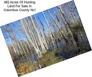 482 Acres Of Hunting Land For Sale In Columbus County Nc!