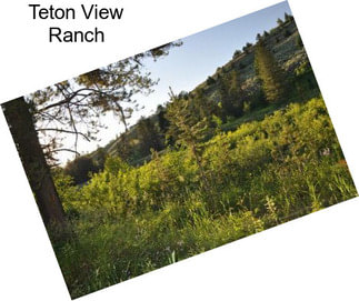 Teton View Ranch
