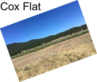 Cox Flat