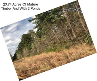 23.74 Acres Of Mature Timber And With 2 Ponds