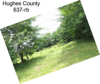 Hughes County 637-rb