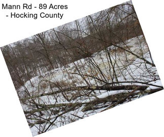 Mann Rd - 89 Acres - Hocking County