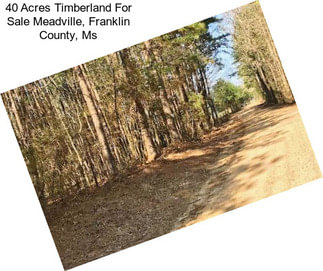 40 Acres Timberland For Sale Meadville, Franklin County, Ms
