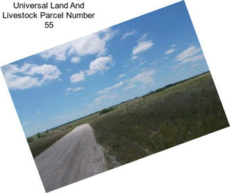 Universal Land And Livestock Parcel Number 55