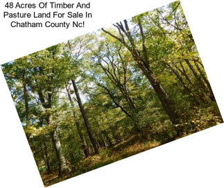 48 Acres Of Timber And Pasture Land For Sale In Chatham County Nc!