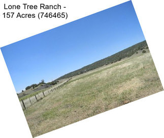 Lone Tree Ranch - 157 Acres (746465)