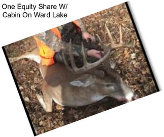One Equity Share W/ Cabin On Ward Lake