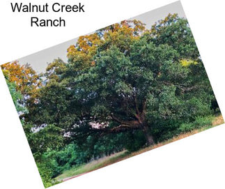 Walnut Creek Ranch