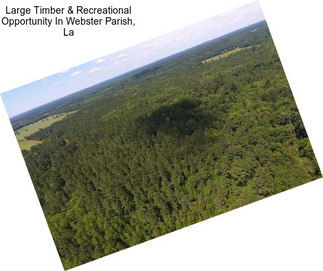 Large Timber & Recreational Opportunity In Webster Parish, La