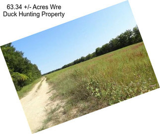 63.34 +/- Acres Wre Duck Hunting Property