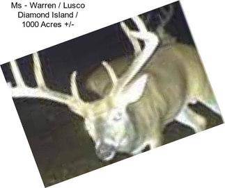 Ms - Warren / Lusco Diamond Island / 1000 Acres +/-