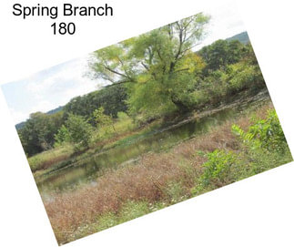 Spring Branch 180