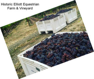 Historic Elliott Equestrian Farm & Vineyard