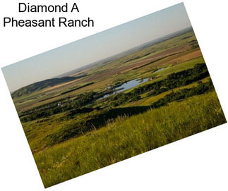 Diamond A Pheasant Ranch