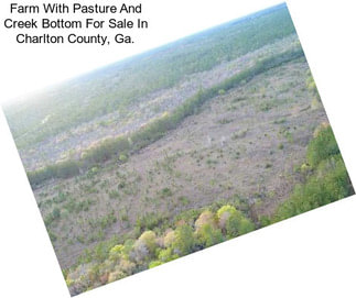 Farm With Pasture And Creek Bottom For Sale In Charlton County, Ga.