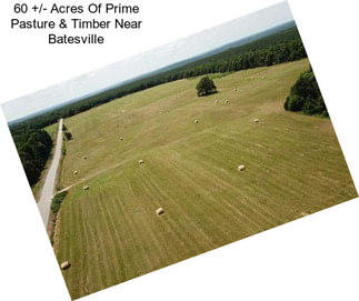 60 +/- Acres Of Prime Pasture & Timber Near Batesville