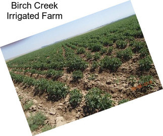 Birch Creek Irrigated Farm