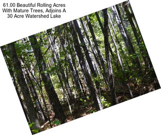 61.00 Beautiful Rolling Acres With Mature Trees, Adjoins A 30 Acre Watershed Lake