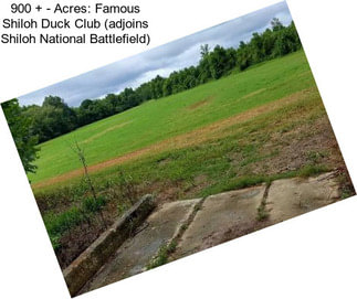 900 + - Acres: Famous Shiloh Duck Club (adjoins Shiloh National Battlefield)