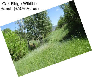 Oak Ridge Wildlife Ranch (+/376 Acres)