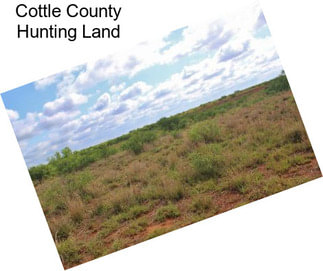 Cottle County Hunting Land